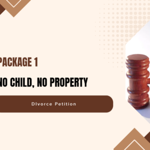 PACKAGE 1 -  No Child No Property Divorce