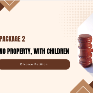PACKAGE 2 - No Property With Children Divorce
