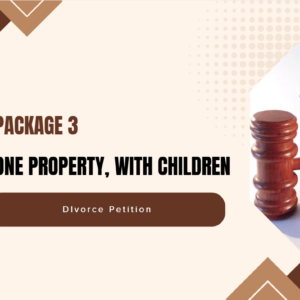 PACKAGE 3 - One Property With Children Divorce